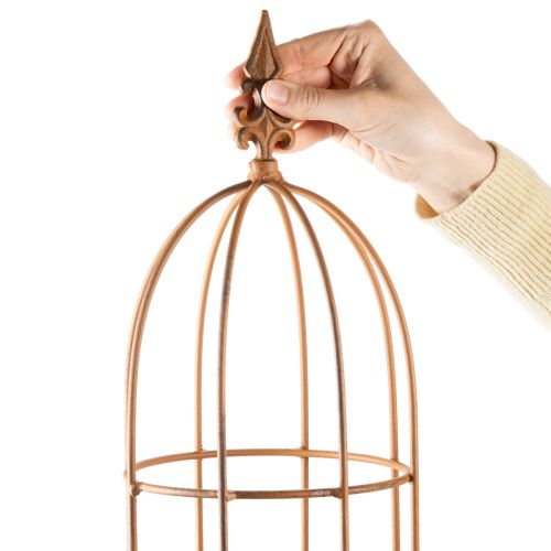 Product Garden trellis, climbing aid for roses and other climbing plants, ideal garden design, 108cm, set of 2.