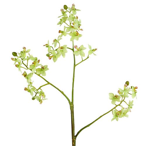 Floristik24 Orchid 97cm light green