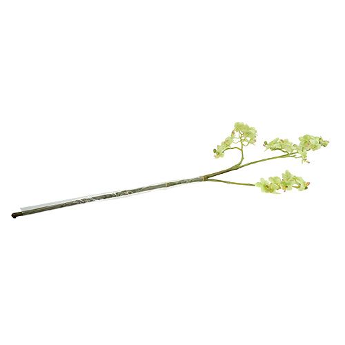 Floristik24 Orchid 97cm light green