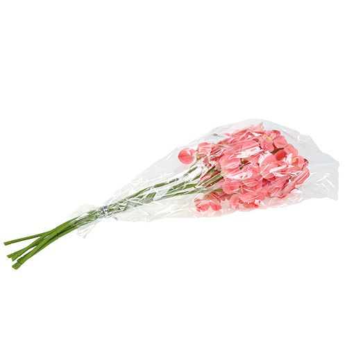 Product Orchid Mokara Salmon 50cm 6 pcs