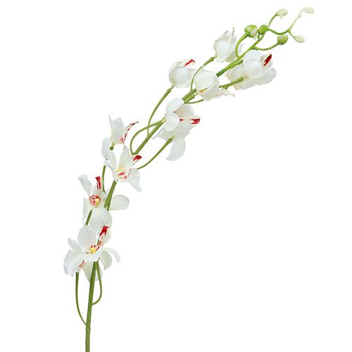 Orchid Mokara White 92cm 3pcs