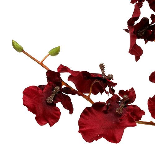 Floristik24 Orchid Oncidium 70cm dark red 3pcs