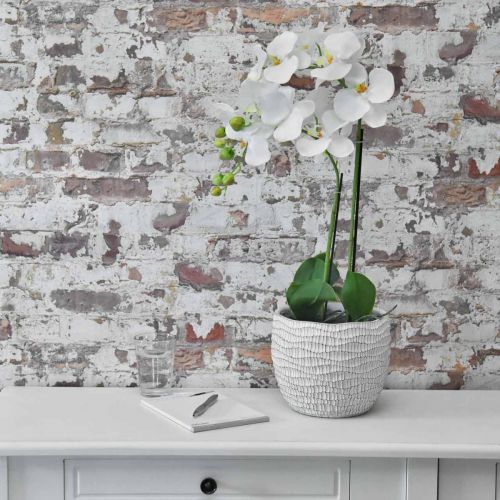 Floristik24 Orchid White on 65cm bulb
