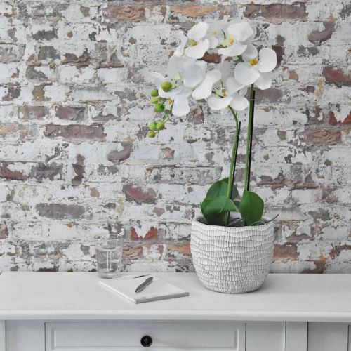 Product Orchid White on 65cm bulb