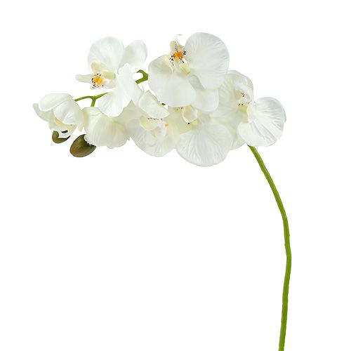 Floristik24 Orchid white artificial L73cm 4pcs