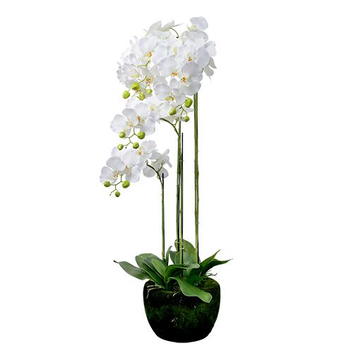Floristik24 Orchid white with globe 110cm