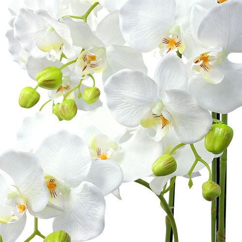 Product Orchid white with globe 110cm