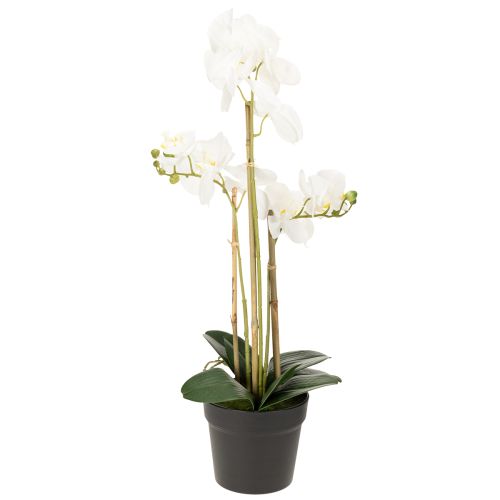 Product Artificial orchid in a pot for a harmonious ambience, white, 60cm