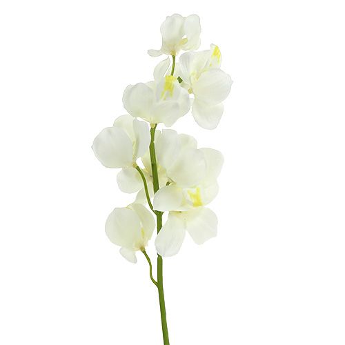 Floristik24 Artificial orchid cream 50cm 6pcs