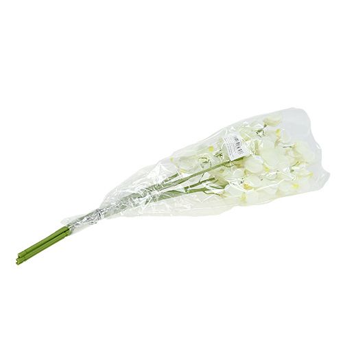 Product Artificial orchid cream 50cm 6pcs