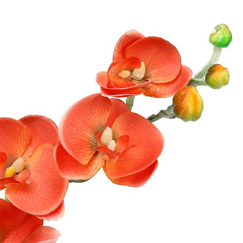 Product Orchid two branches 60cm orange