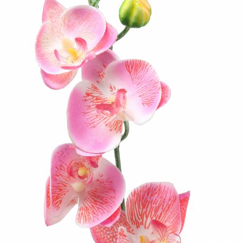 Product Orchid Phalaenopsis artificial pink 60cm