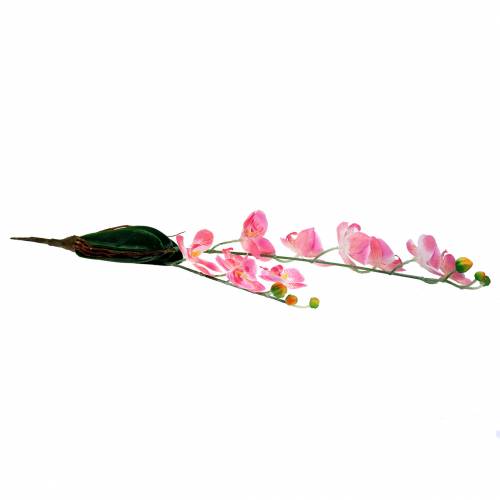 Floristik24 Orchid Phalaenopsis artificial pink 60cm
