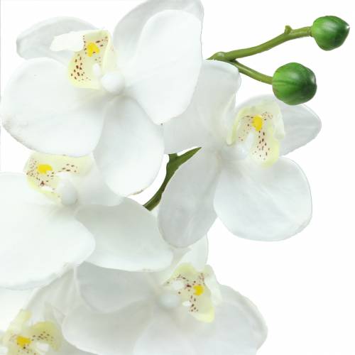 Product Artificial Orchid Artificial Flower White Ø6.5-8cm 77cm