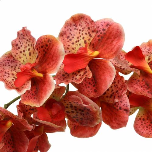 Product Artificial orchid Phaelaenopsis Red, Orange H81cm