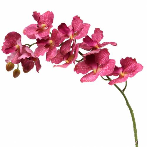 Floristik24 Artificial orchid branch Pink H83cm