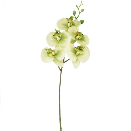 Floristik24 Orchid Artificial Yellow Green Phalaenopsis 85cm