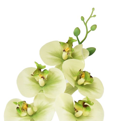 Product Orchid Artificial Yellow Green Phalaenopsis 85cm