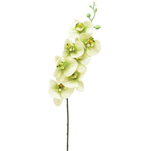 Product Orchid Artificial Yellow Green Phalaenopsis L83cm