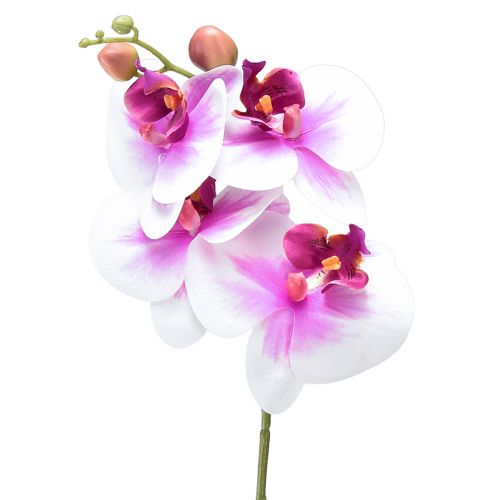 Orchid Artificial Phalaenopsis 4 Flowers White Pink 72cm