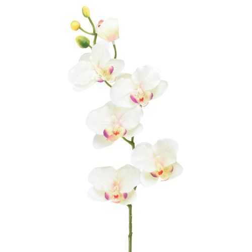 Orchid Phalaenopsis artificial 6 flowers cream pink 70cm