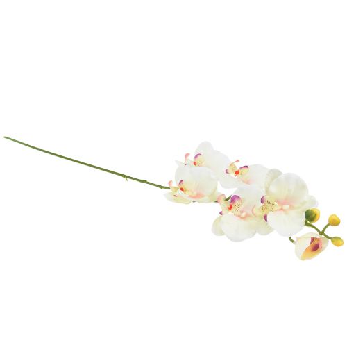 Product Orchid Phalaenopsis artificial 6 flowers cream pink 70cm