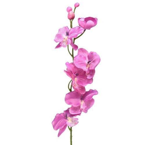 Orchid Phalaenopsis artificial 6 flowers purple 70cm