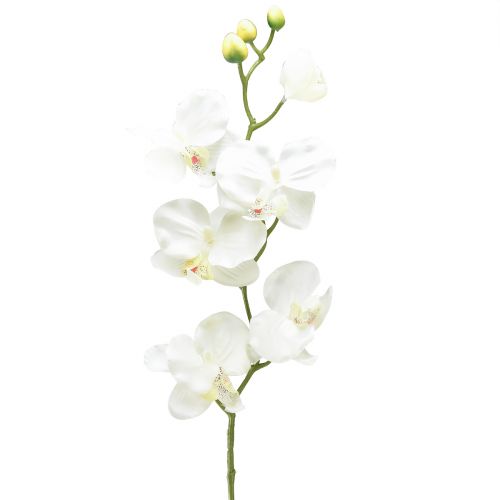 Product Orchid Phalaenopsis artificial 6 flowers white cream 70cm