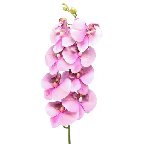 Floristik24 Orchid Phalaenopsis artificial 8 flowers pink 104cm