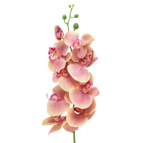 Orchid Phalaenopsis artificial 9 flowers pink vanilla 96cm