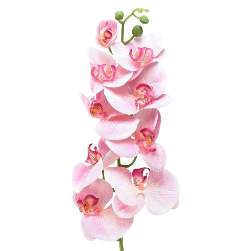 Floristik24 Orchid Phalaenopsis artificial 9 flowers pink white 96cm