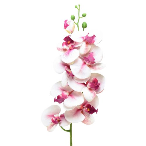 Orchid Phalaenopsis artificial 9 flowers white fuchsia 96cm