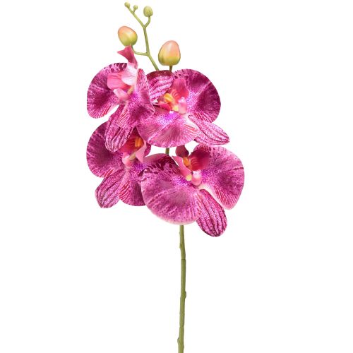 Product Orchid flamed Artificial Phalaenopsis Violet 72cm