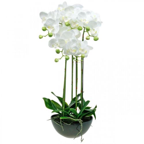 Floristik24 Artificial orchids in pot white artificial plant 63cm