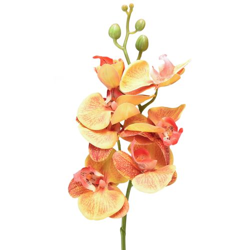 Floristik24 Orchid artificial Phalaenopsis flamed red yellow 78cm
