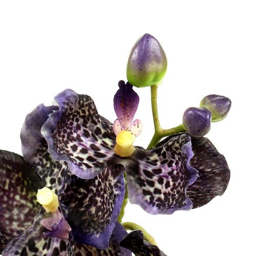 Product Orchid Vanda artificial violet L 44cm