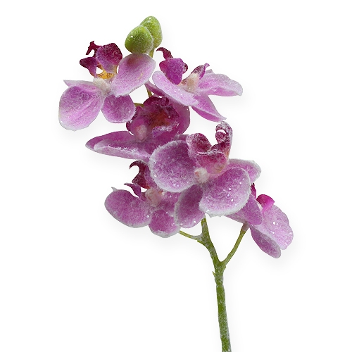 Orchid with glitter, pink 35 cm