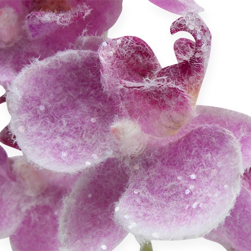 Floristik24 Orchid with glitter, pink 35 cm