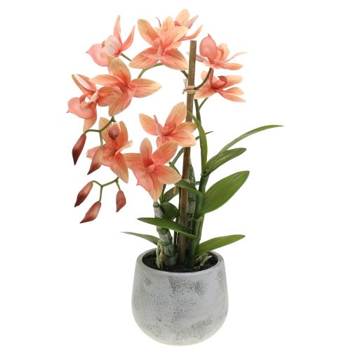 Floristik24 Orchid in pot salmon H41cm