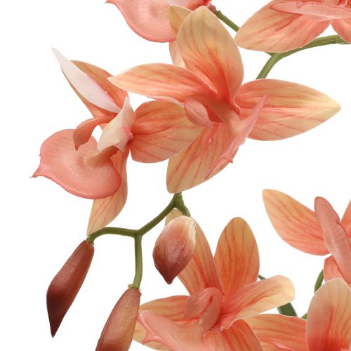 Floristik24 Orchid in pot salmon H41cm