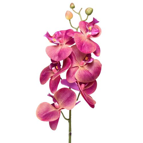 Product Artificial Orchid Phalaenopsis Orchid Fuchsia 78cm