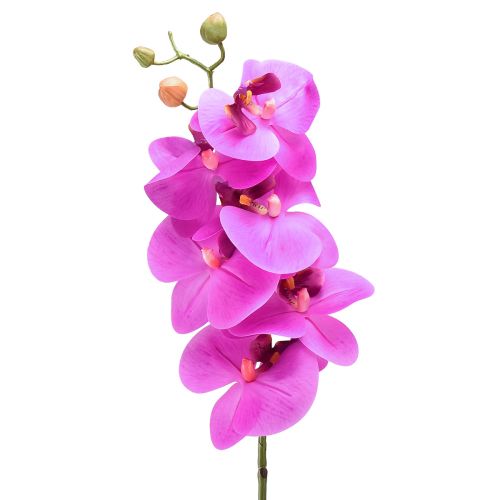 Artificial Orchid Phalaenopsis Orchid Pink 78cm