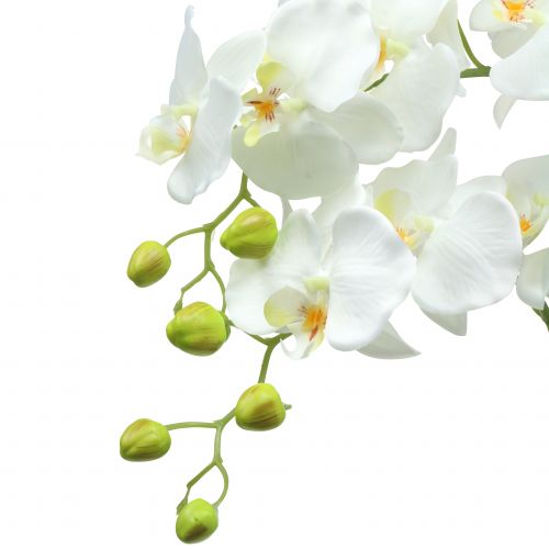 Floristik24 Orchid white on a ball of 118cm