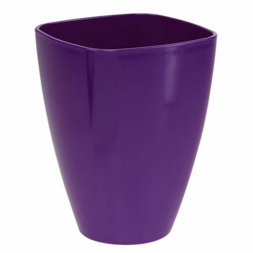 Orchid pot, glossy, Ø12.5cm, violet buy online | Floristik24.co.uk