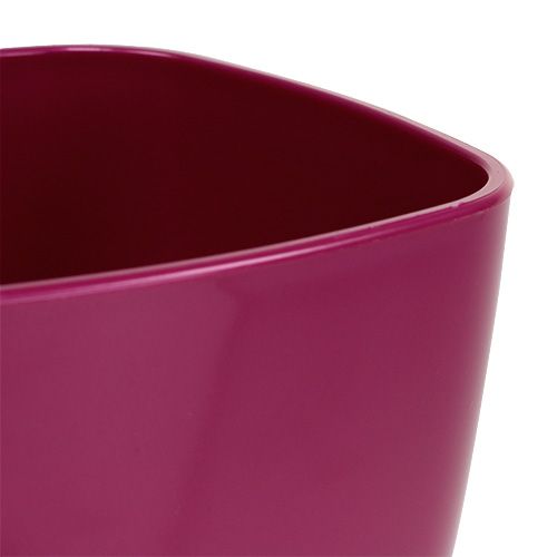 Product Orchid pot shiny Ø12.5cm cherry, 1pc