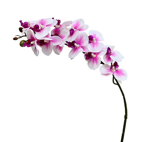 Floristik24 Orchid branch white-pink L58cm