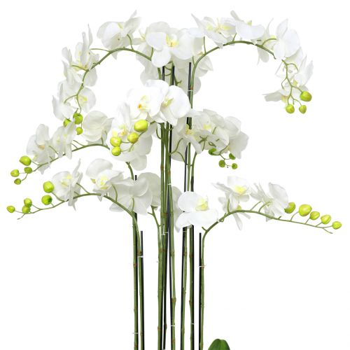 Floristik24 Orchid white on a ball of 118cm