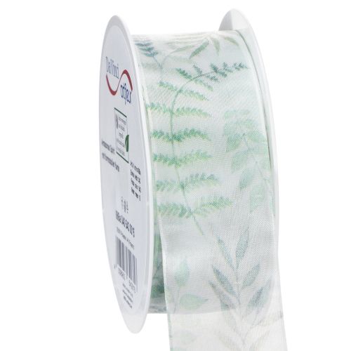 Floristik24 Organza ribbon, chiffon ribbon, leafy branches, green, 40mm, 15m