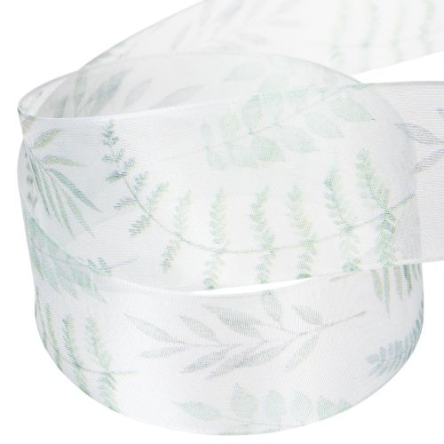 Product Organza ribbon, chiffon ribbon, leafy branches, green, 40mm, 15m