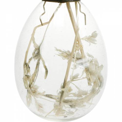 Floristik24 Easter eggs with dried flowers, decorative eggs made of real glass, floral Easter decoration for hanging, glass eggs 8 pieces